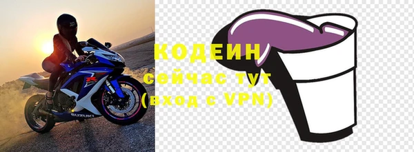 ешки Горняк