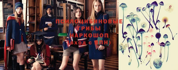 соль курить ск Горнозаводск