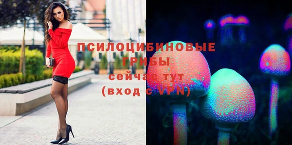 ешки Горняк