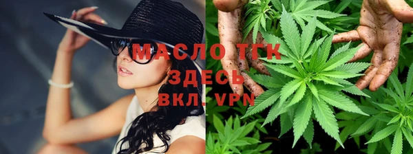 ешки Горняк